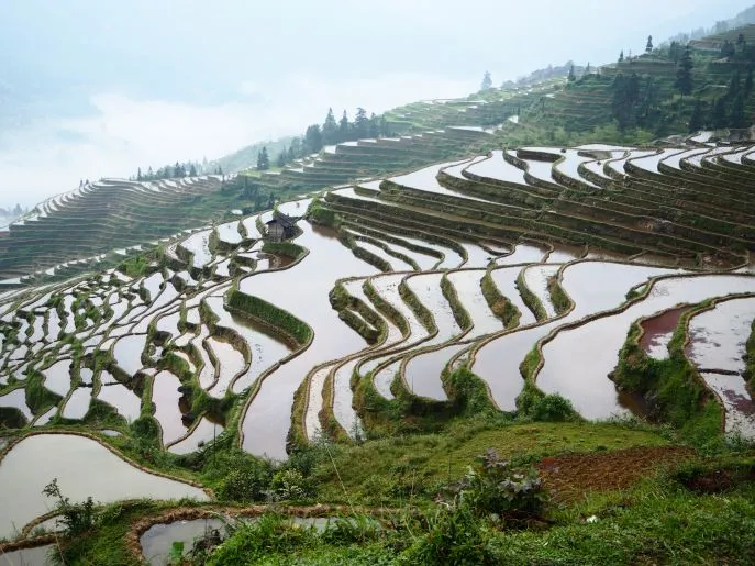 jiabang rijstvelden in guizhou
